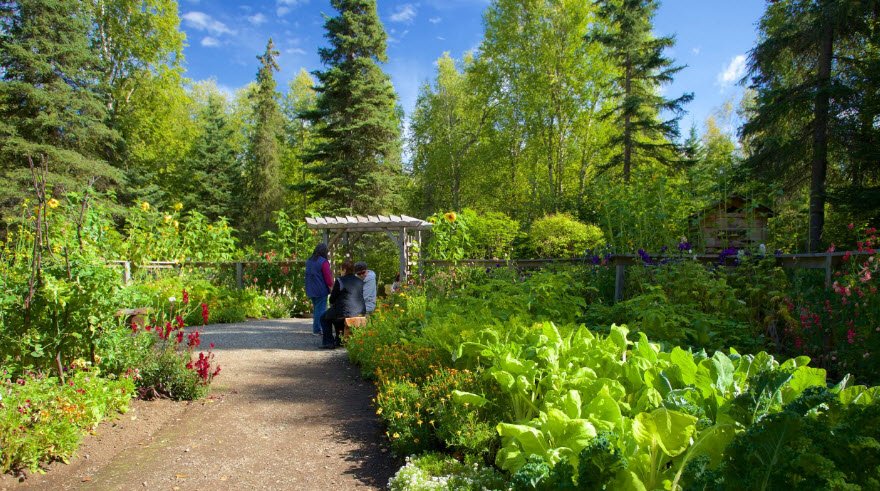 Alaska Botanical Garden, United States